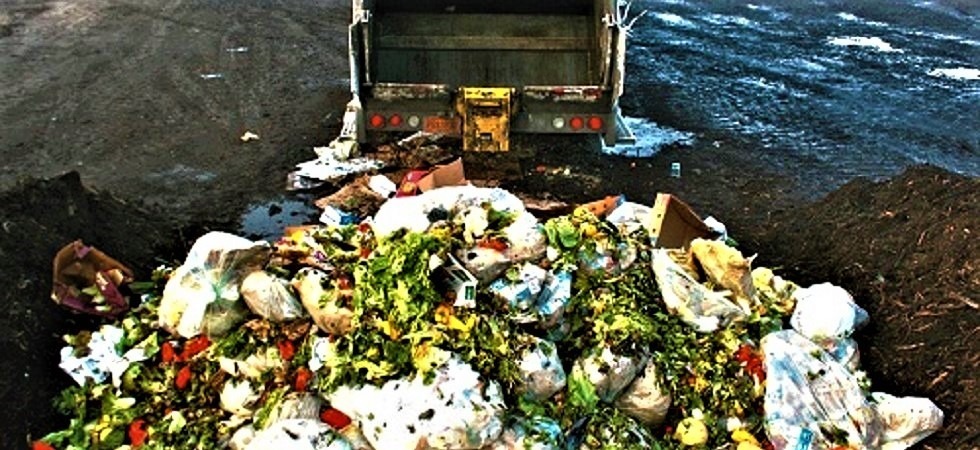 Pranzi e cene di Natale, il 20% del cibo finisce nella spazzatura